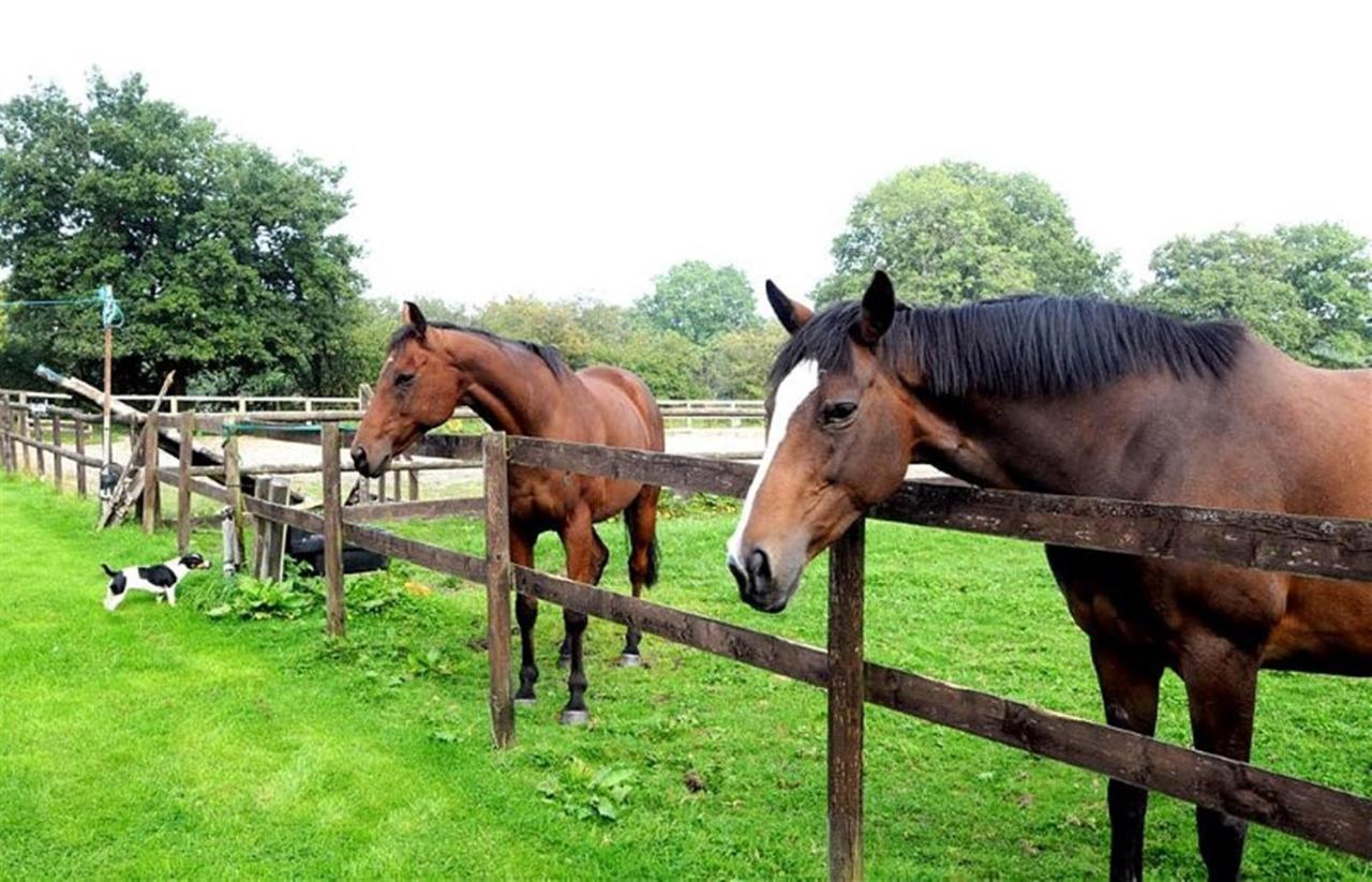 Little Rushbrook Cottages Tanworth Zimmer foto